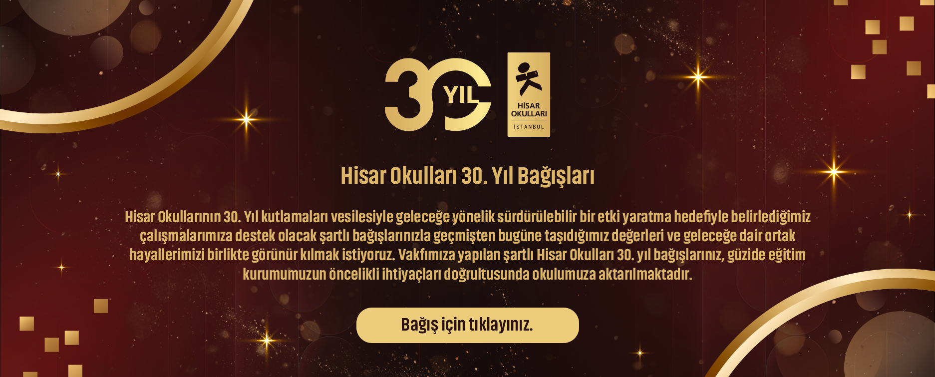 30. Yıl Banner